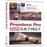 《Premiere Pro 2020从新手到高手（全彩印刷）/从新手到高手》[59M]百度网盘|亲测有效|pdf下载