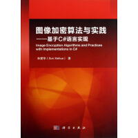 《图像加密算法与实践--基于C#语言实现》[22M]百度网盘|亲测有效|pdf下载