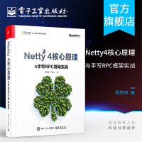 Netty4核心原理与手写RPC框架实战Netty核心原理和核心组件轻量级分布式Rpdf下载pdf下载