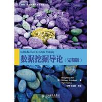 《数据挖掘导论 完整版 Introduction to Data Mining(图灵出品)》[23M]百度网盘|亲测有效|pdf下载