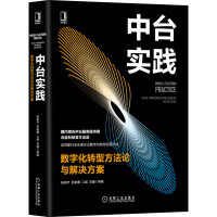 中台实践：数字化转型方法论与解决方案pdf下载pdf下载