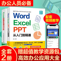 Word Excel PPT从入门到精通+Excel数据处理与分析wps教程表格制作函数R Excel入门教程+数据处理2册pdf下载pdf下载