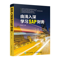 由浅入深学习SAP财务pdf下载pdf下载