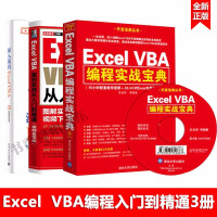 深入浅出Excel VBA 杨洋 Excel VBA编程自学教程 VBA编程实战宝典案例实战从入门pdf下载pdf下载
