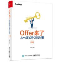 《Offer来了：Java面试核心知识点精讲王磊出版》[59M]百度网盘|亲测有效|pdf下载