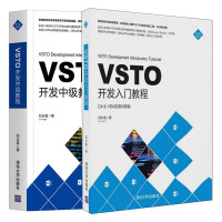 2册：VSTO开发入门教程+VSTO开发中级教程、Office二次开发Office插件开发办公自动化pdf下载pdf下载