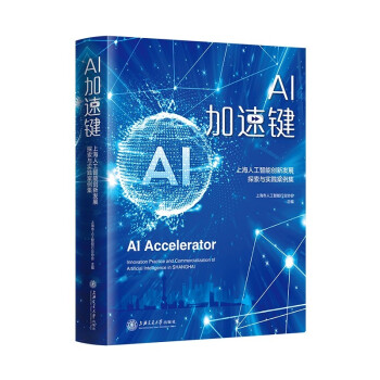 AI加速键——上海人工智能创新发展探索与实践案例集pdf下载pdf下载