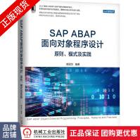 SAPABAP面向对象程序设计：原则、模式及实践pdf下载pdf下载