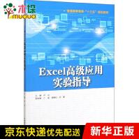 Excel高级应用实验指导pdf下载pdf下载