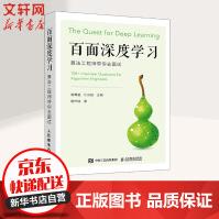 百面深度学习算法工程师带你去面试pdf下载pdf下载