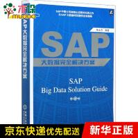 SAP大数据完全解决方案pdf下载pdf下载