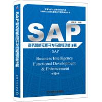 SAP商务智能实用开发与高级功能详解pdf下载pdf下载