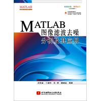 MATLAB图像滤波去噪分析及其应用pdf下载pdf下载