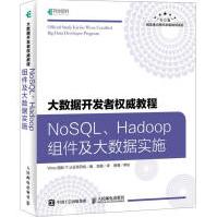 大数据开发者教程NoSQL、Hadoop组件及大数据实施Wrox国际IT认证项目组人民pdf下载pdf下载