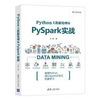 Python大数据处理库PySpark实战pdf下载pdf下载