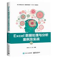 Excel数据处理与分析案例及实战pdf下载pdf下载