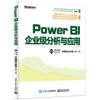 Power BI企业级分析与应用pdf下载pdf下载