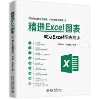 精进Excel图表pdf下载pdf下载