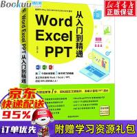 WordExcelPPT办公应用从入门到精通office软件基础教程适用pdf下载pdf下载