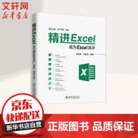 精进EXCEL成为EXCEL高手pdf下载pdf下载