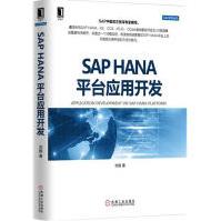 SAPHANA平台应用开发pdf下载pdf下载