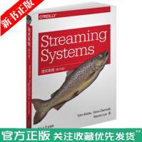 StreamingSystems流式流式批量数据处理模式无限海量数据pdf下载pdf下载