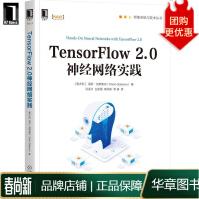 TensorFlow2.0神经网络实践pdf下载pdf下载